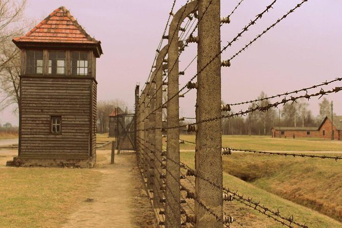 Auschwitz Small Group Tour from Warsaw with Lunch - The drive experience: air-conditioned comfort and real-day timing