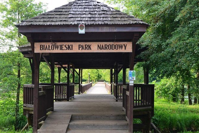 Bialowieza National Park Small Group Tour from Warsaw with Lunch included - Entering Białowieża National Park from Warsaw without the stress