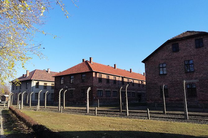 From Warsaw Auschwitz and Krakow one day tour by train with pick up and drop off - Birkenau walking: long, emotional, and scheduled tighter than you think