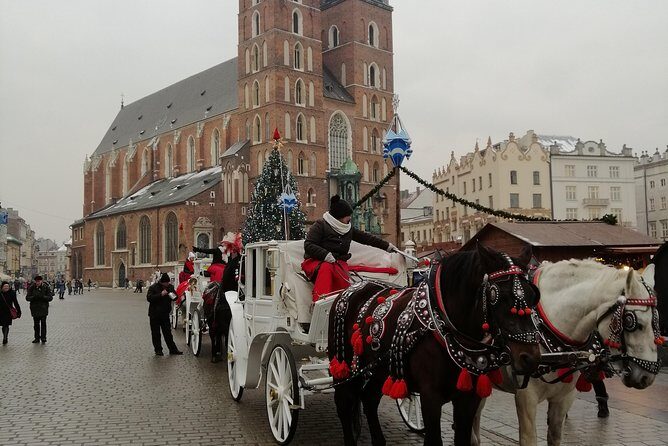 From Warsaw Auschwitz and Krakow one day tour by train with pick up and drop off - Drivers, train connections, and the quiet hero work