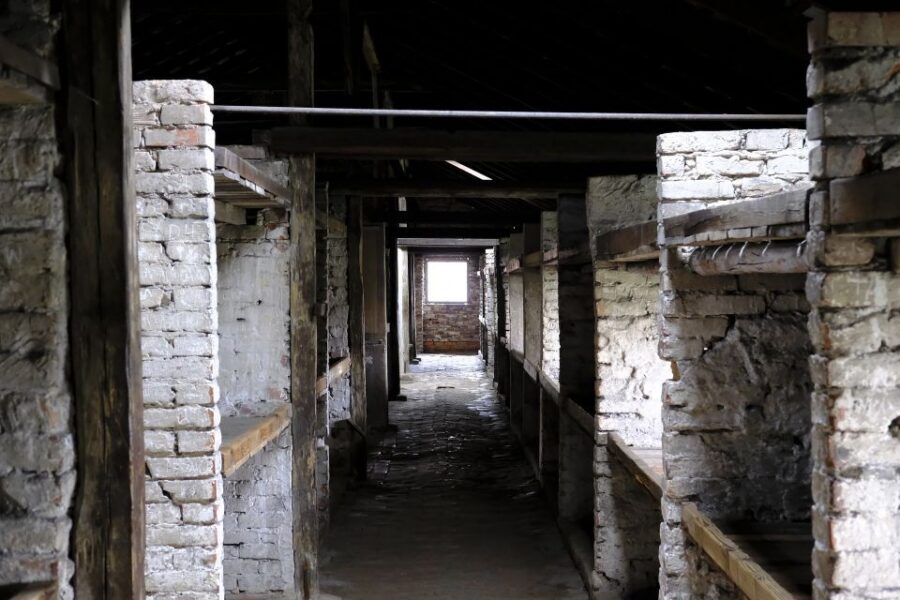 From Warsaw: Auschwitz-Birkenau Guided Tour with Fast Train - Price and value: is $181 worth a 15-hour guided trip?