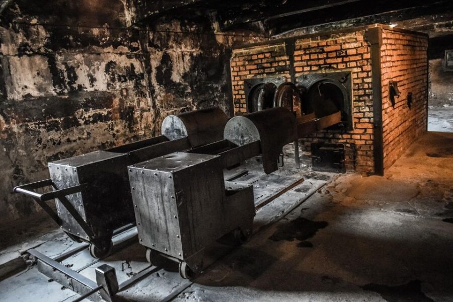 From Warsaw: Auschwitz-Birkenau Guided Tour with Fast Train - Headsets, pace, and the group experience you’ll have to manage
