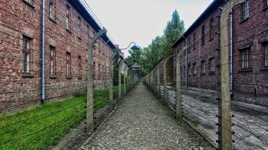 From Warsaw: Auschwitz-Birkenau Guided Tour with Fast Train - Hotel pickup and the station run: what your morning feels like
