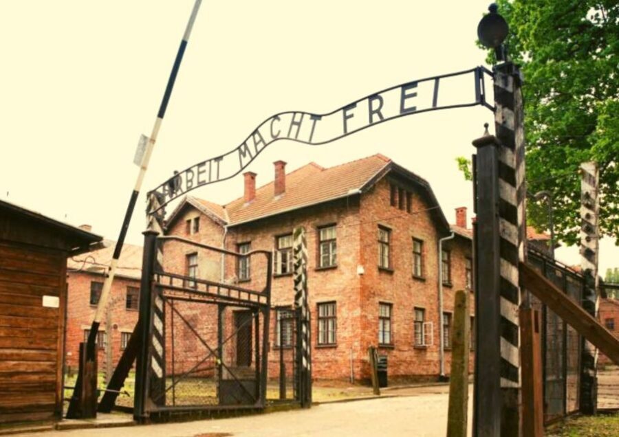 From Warsaw: Auschwitz-Birkenau Small Group Tour with Lunch - Key things worth knowing before you go