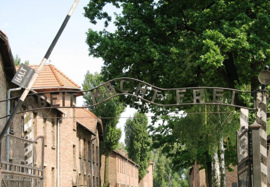 From Warsaw: Auschwitz-Birkenau Small Group Tour with Lunch - Who this tour fits best