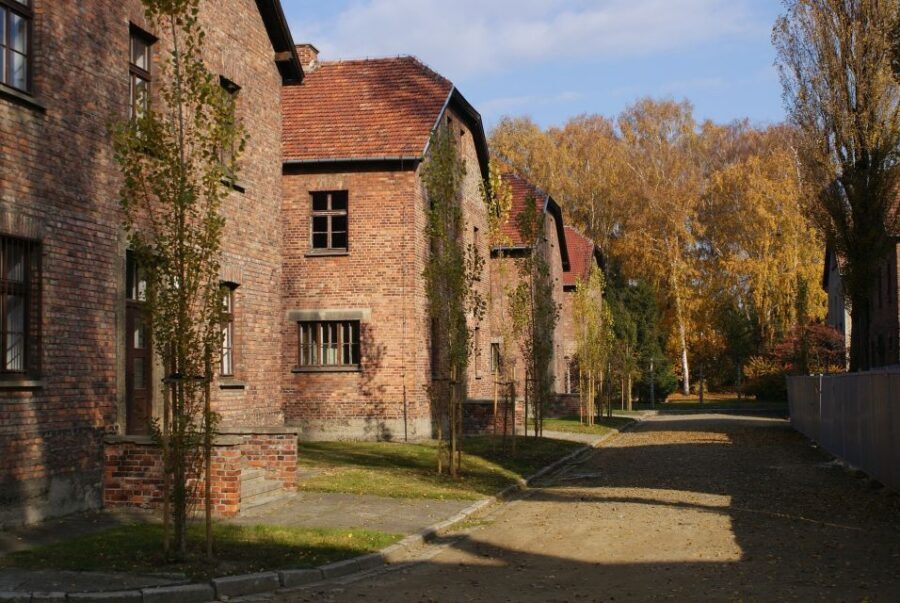 From Warsaw: Auschwitz-Birkenau Small Group Tour with Lunch - The museum materials: artifacts and period photos that add weight