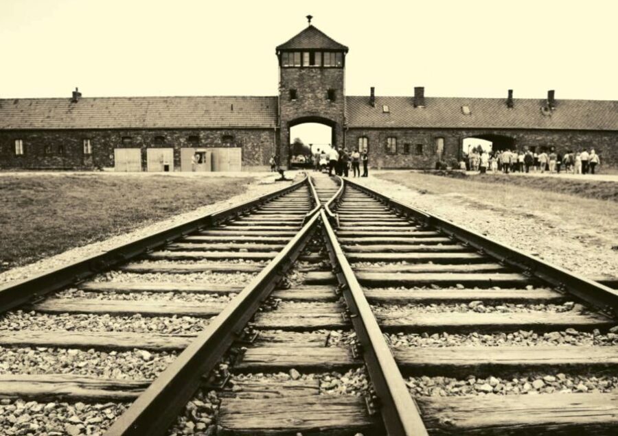 From Warsaw: Auschwitz-Birkenau Small Group Tour with Lunch - Price and value: is $350 a fair deal for this day?