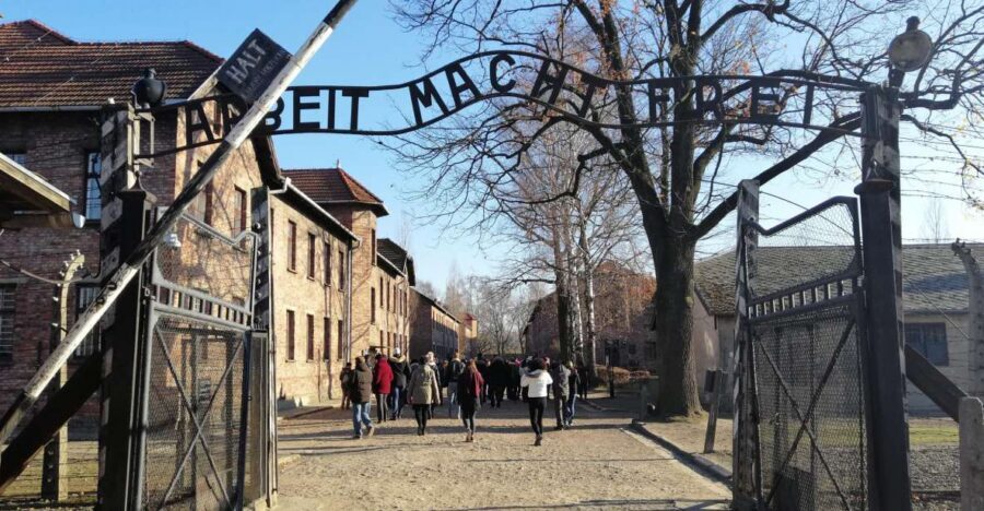 From Warsaw: Auschwitz-Birkenau Tour by Car - Lunch break: keep your energy steady for the drive back