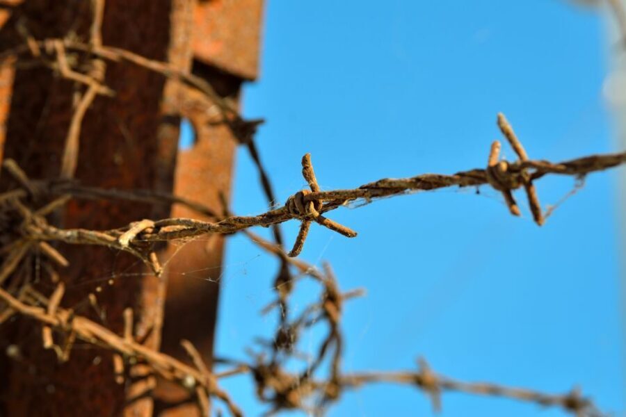 From Warsaw: Auschwitz-Birkenau Tour by Car - Getting back to Warsaw: the long-day logistics, simplified