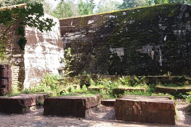 From Warsaw day tour to Wolf's Lair, Hitler's HQ by car - Key highlights before you go