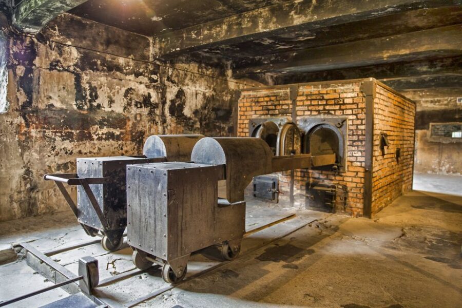 From Warsaw: Guided Tour to Auschwitz-Birkenau and Krakow - The pacing problem: a moving day with limited break time