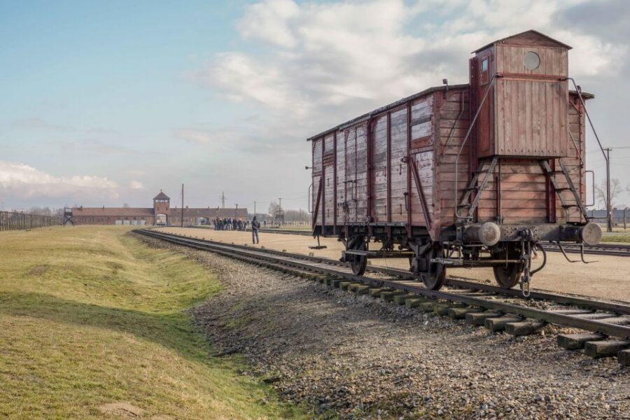 From Warsaw: Guided Tour to Auschwitz-Birkenau and Krakow - Krakow free time: use it for the Old Town core
