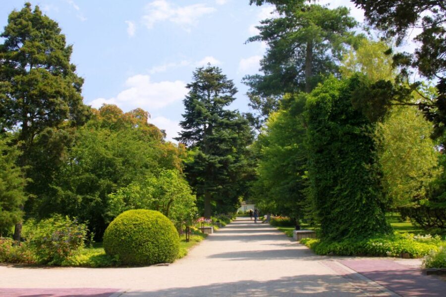 From Warsaw: Tour to Chopin's Birthplace - Żelazowa Wola - Should you book this Chopin birthplace and baptism tour?