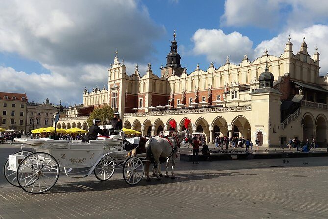Krakow - Full Day Tour from Warsaw by private car - What to know before you go (so the day runs smooth)