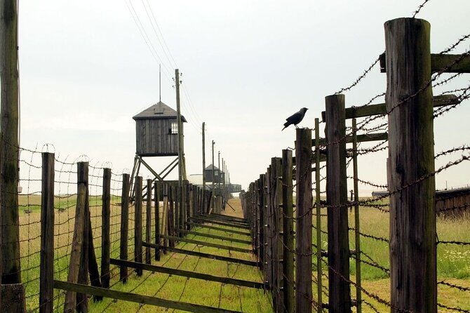 Lublin and Majdanek Small Group Tour from Warsaw with Lunch - Price and Value: Is $352.41 Worth It?