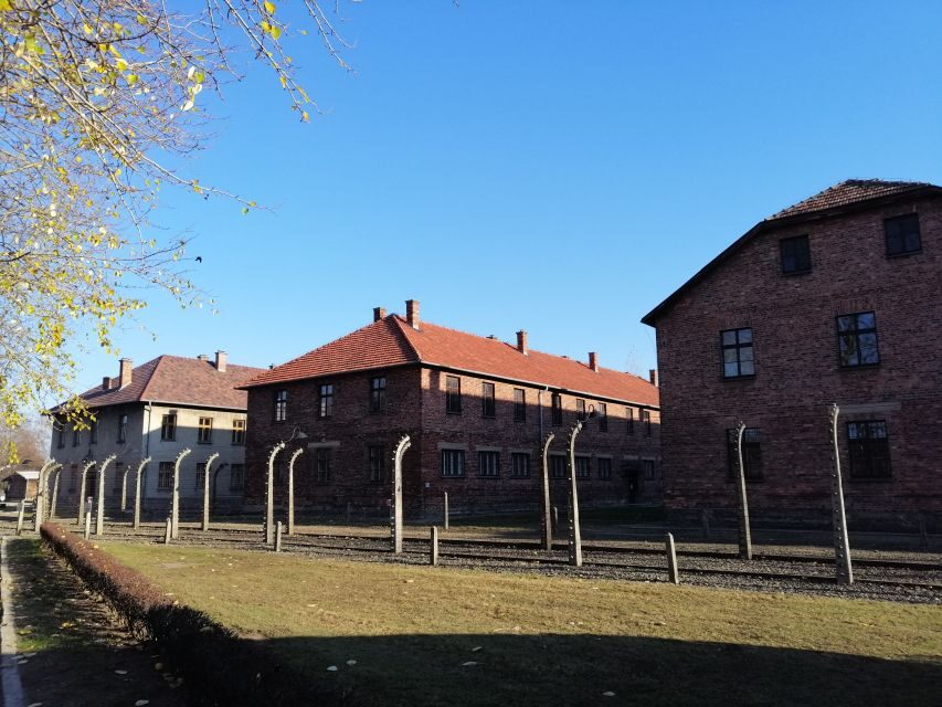 Warsaw: Auschwitz-Birkenau and Krakow Tour by Car - Who This Tour Fits Best