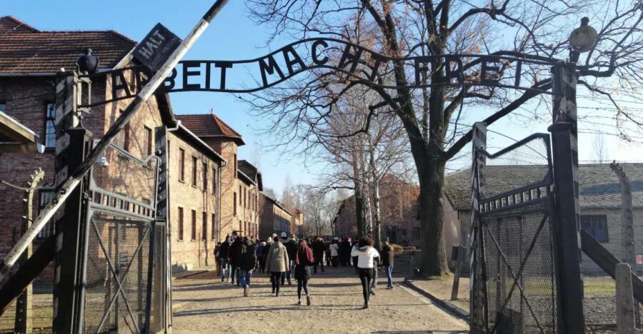 Warsaw: Auschwitz-Birkenau and Krakow Tour by Car - Auschwitz-Birkenau: What the Guided Tour Covers