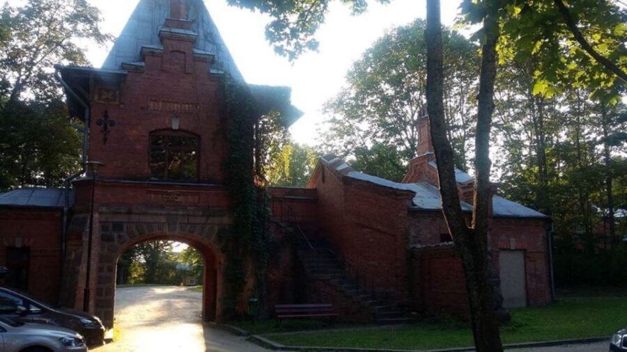 Warsaw: Bialowieza National Park and European Bison Tour - Price and value: where the $245 per person goes