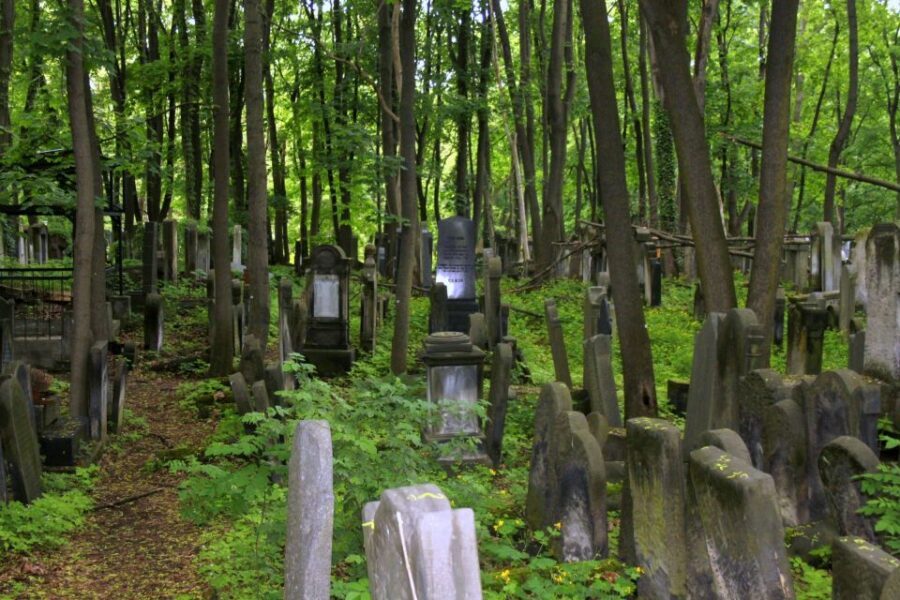Warsaw Jewish Heritage Private Tour in Retro Fiat - Muranów’s former Large Ghetto: street art, modern blocks, and the graves nearby