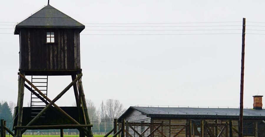 Warsaw: Majdanek Concentration Camp & Lublin Guided Day Tour - Majdanek: what remains you’ll walk through and why it matters