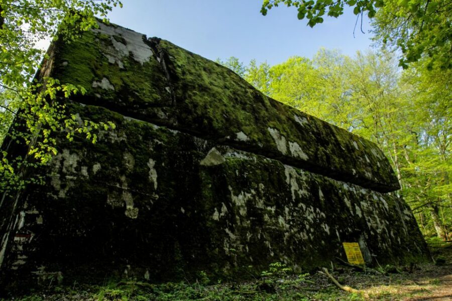 Warsaw: Private Full-Day Wolf's Lair Tour - Key points before you go