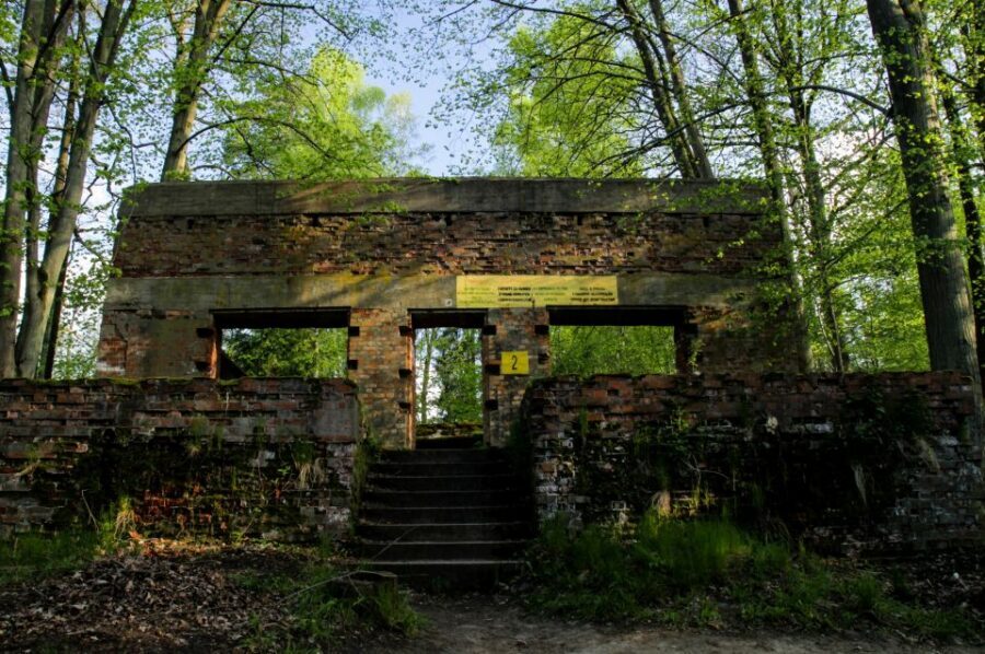 Warsaw: Private Full-Day Wolf's Lair Tour - Who this Wolf’s Lair tour is best for