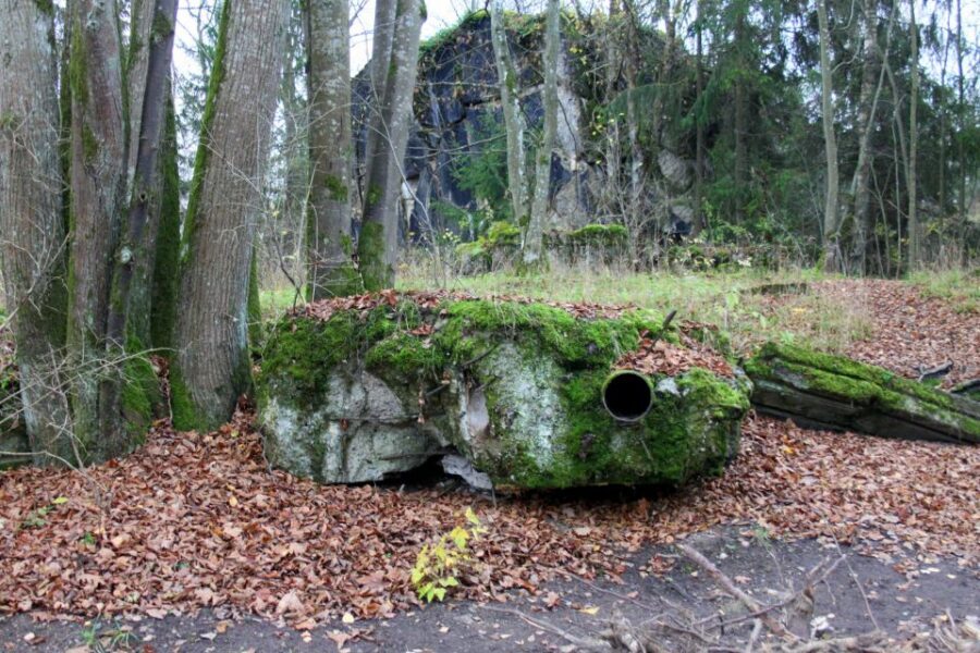 Warsaw: Private Full-Day Wolf's Lair Tour - Wolf’s Lair and Masuria: why this day trip feels worth the long ride