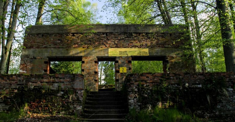Warsaw: Private Full-Day Wolf's Lair Tour - Museums and the small things that add up on-site