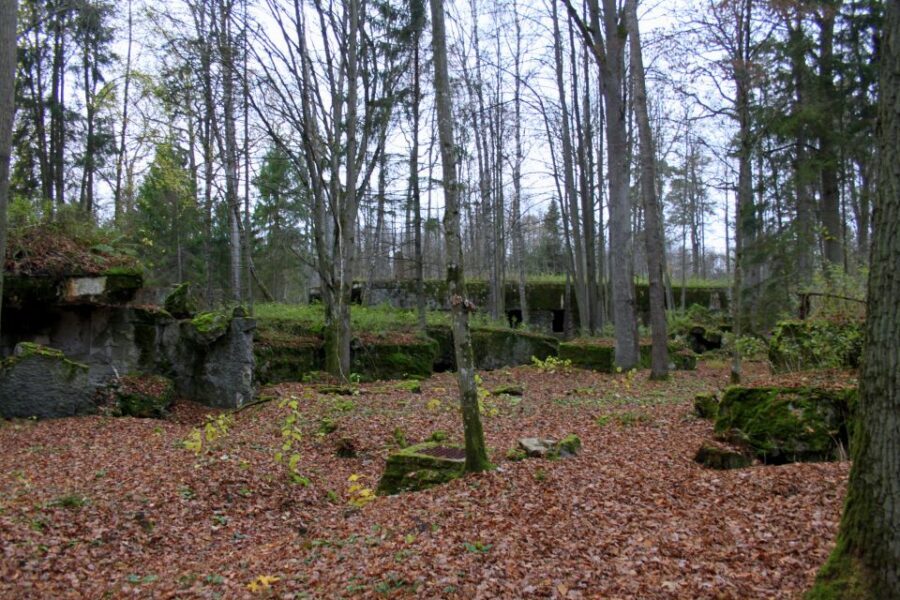 Warsaw: Private Full-Day Wolf's Lair Tour - Choosing your return stop: Mamerki, a medieval castle, or a Baroque church