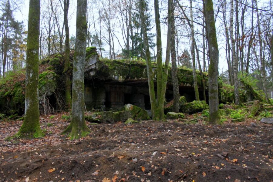 Warsaw: Private Full-Day Wolf's Lair Tour - Inside Hitler’s headquarters: what you’ll actually see at the bunkers