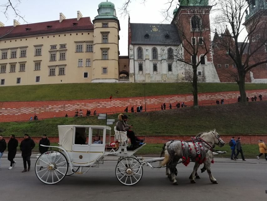 Warsaw: Tour to Krakow and Auschwitz by Train with Pickup - Who should book this day trip, and who should skip it