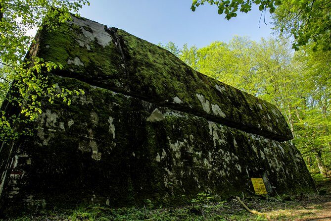 Wolf’s Lair Private Day Trip from Warsaw - Wolf’s Lair at Wilczy Szaniec: what you’ll actually see