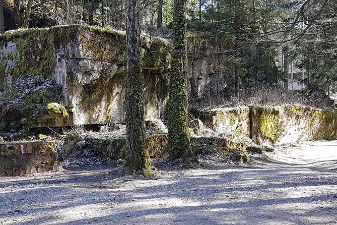 Wolf's Lair & Treblinka Tour in 1 day from Warsaw - Price and time: what you’re really paying for